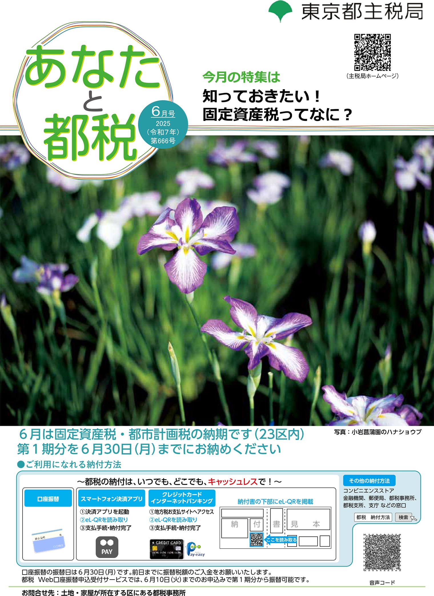 あなたと都税6月号